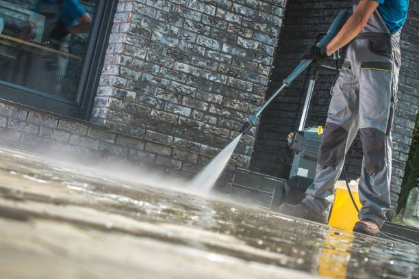 Best Driveway Pressure Washing  in Pemberton Heights, NJ